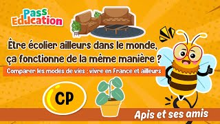 Être écolier ailleurs dans le monde, ça fonctionne de la même manière ? - Vidéo pédagogique - Apis & ses amis : 1ere Primaire