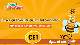 Est - ce qu’il n’existe qu’un seul continent ? - Vidéo - Apis & ses amis : 2eme Primaire
