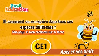 Et comment on se repère dans tous ces espaces différents ? - Vidéo - Apis & ses amis : 2eme Primaire