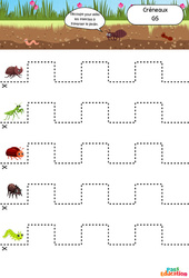Les insectes - Créneaux - Apprendre à découper : 3eme Maternelle - Cycle Fondamental - Cycle 1 - PDF à imprimer