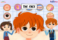 The Face - Vocabulaire - Séquence complète - Apprends l'anglais avec Kelly and James : 3eme Maternelle, [Primaire] - Cycle 2 - PDF à imprimer
