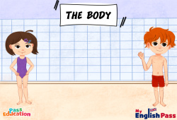 The body - Vocabulaire - Séquence complète - Apprends l'anglais avec Kelly and James : 3eme Maternelle, [Primaire] - Cycle 2 - PDF à imprimer