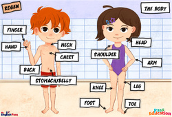 The body - Vocabulaire - Cours, Leçon/Flashcard - Apprends l'anglais avec Kelly and James : 3eme Maternelle, [Primaire] - Cycle 2 - PDF à imprimer