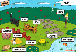 Animals (Pets) - Vocabulaire - Cours, Leçon/Flashcard - Apprends l'anglais avec Kelly and James : 3eme Maternelle, [Primaire] - Cycle 2 - PDF à imprimer