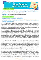 Wood’stown - A. Daudet - Mini - brevet - Français - Annales corrigées : 3eme Secondaire - Cycle 4 - PDF à imprimer
