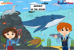 Séquence - Fiche de préparation Animals in the Ocean - Séquence complète - Apprends l'anglais avec Kelly and James : 3eme Maternelle, [Primaire] - PDF à imprimer