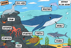 Animals in the Ocean - Vocabulaire - Cours, Leçon/Flashcard - Apprends l'anglais avec Kelly and James : 3eme Maternelle, [Primaire] - Cycle 2 - PDF à imprimer