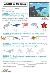 Animals in the Ocean - Vocabulaire - Exercices - Apprends l'anglais avec Kelly and James : 3eme Maternelle, [Primaire] - Cycle 1 - PDF à imprimer