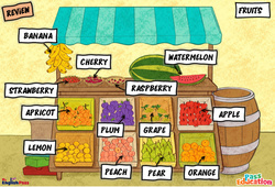 Fruits - Vocabulaire - Cours, Leçon/Flashcard - Apprends l'anglais avec Kelly and James : 3eme Maternelle, [Primaire] - Cycle 2 - PDF à imprimer