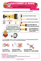 Réaliser un circuit électrique en toute sécurité - Cours, Leçon - Apis & ses amis : 1ere Primaire - Cycle 2 - PDF à imprimer