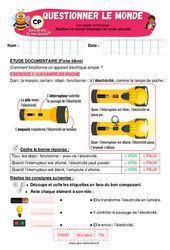 Réaliser un circuit électrique en toute sécurité - Exercices - Apis & ses amis : 1ere Primaire - Cycle 2 - PDF à imprimer