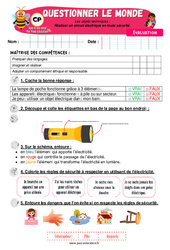 Réaliser un circuit électrique en toute sécurité - Examen Evaluation - Apis & ses amis : 1ere Primaire - Cycle 2 - PDF à imprimer