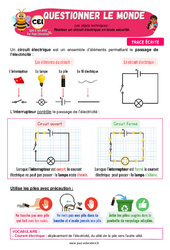 Réaliser un circuit électrique en toute sécurité - Cours, Leçon - Apis & ses amis : 2eme Primaire - Cycle 2 - PDF à imprimer