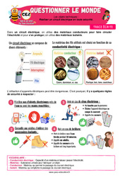 Réaliser un circuit électrique en toute sécurité - Cours, Leçon - Apis & ses amis : 3eme Primaire - Cycle 2 - PDF à imprimer