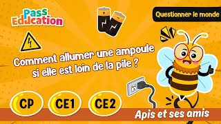 Comment allumer une ampoule si elle est loin de la pile ? - Vidéo pédagogique - Apis & ses amis : 1ere, 2eme, 3eme Primaire