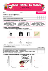 La croissance corporelle - Examen Evaluation - Apis & ses amis : 2eme Primaire - PDF à imprimer
