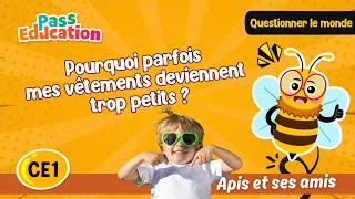 Pourquoi parfois mes vêtements deviennent trop petits ? - Vidéo - Apis & ses amis : 2eme Primaire