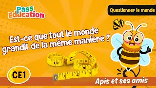 Est - ce que tout le monde grandit de la même manière ? - Vidéo - Apis & ses amis : 2eme Primaire
