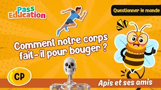 Comment notre corps fait - il pour bouger ? - Vidéo - Apis & ses amis : 1ere Primaire