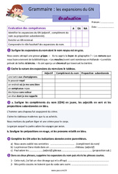 Les expansions du groupe nominal (GN) - Examen Evaluation avec la correction : 5eme Primaire - PDF à imprimer