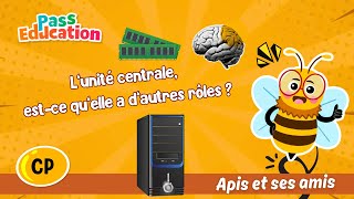 L’unité centrale, est - ce qu’elle a d’autres rôles ? - Vidéo - Apis & ses amis : 1ere Primaire