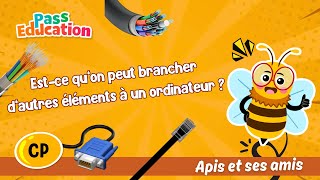 Est - ce qu’on peut brancher d’autres éléments à un ordinateur ? - Vidéo - Apis & ses amis : 1ere Primaire