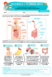 La digestion et les apports nutritifs au corps humain - Cours, Leçon - Edith Eprouvette : 5eme Primaire - PDF à imprimer