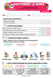 L’espace est organisé de l’école à la ville - Examen Evaluation - Apis & ses amis : 1ere Primaire - PDF à imprimer