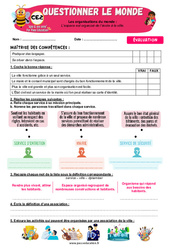 L’espace est organisé de l’école à la ville - Examen Evaluation - Apis & ses amis : 3eme Primaire - PDF à imprimer