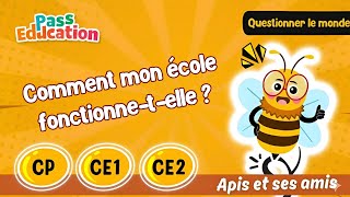 Comment mon école fonctionne - t - elle ? - Vidéo pédagogique - Apis & ses amis : 1ere, 2eme, 3eme Primaire