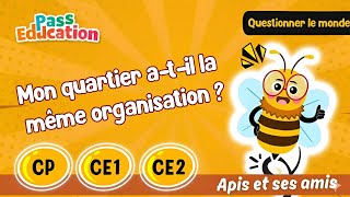 Mon quartier a - t - il la même organisation ? - Vidéo pédagogique - Apis & ses amis : 1ere, 2eme, 3eme Primaire