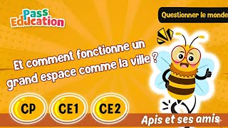 Et comment fonctionne un grand espace comme la ville ? - Vidéo pédagogique - Apis & ses amis : 1ere, 2eme, 3eme Primaire