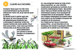 Le jardin aux merveilles - Lecture interactive  -  Luminéo - Niveau 3 : 1ere Primaire