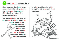 Une rencontre inoubliable - Lecture interactive  -  Luminéo - Niveau 2 : 1ere Primaire