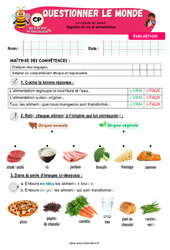 Hygiène de vie et alimentation - Examen Evaluation - Apis & ses amis : 1ere Primaire - PDF à imprimer