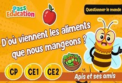 D’où viennent les aliments que l’on mange ? - Vidéo - Apis & ses amis : 1ere Primaire