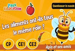 Vidéo Les aliments ont - ils tous le même rôle&nbsp;? - Vidéo - Apis & ses amis : 3eme Primaire
