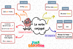 Carte mentale Le verbe conjugué - Carte mentale à co - construire : 2eme Primaire - PDF à imprimer