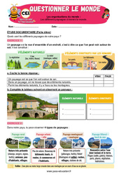 Exercice Les différents paysages à travers le monde - Exercices - Apis & ses amis : 2eme Primaire - PDF à imprimer