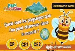 Vidéo Quels sont les paysages que l’on peut observer dans le monde&nbsp;? - Vidéo - Apis & ses amis : 1ere, 2eme, 3eme Primaire