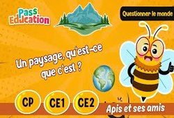 Vidéo Un paysage, qu’est - ce que c’est&nbsp;? - Vidéo - Apis & ses amis : 1ere, 2eme, 3eme Primaire