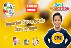 Imparfait des verbes du 2ème groupe - Exercices en vidéo - Défi 5/5 : 5eme Primaire