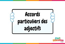 Accords particuliers des adjectifs - Vidéo pédagogique interactive : 1ere, 2eme, 3eme Secondaire