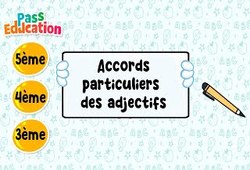 Accords particuliers des adjectifs - Vidéo : 1ere, 2eme, 3eme Secondaire