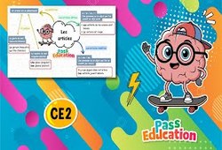 Vidéo Les articles - Vidéo pédagogique : 3eme Primaire