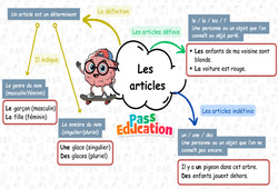 Les articles - Carte mentale à co - construire : 3eme Primaire - PDF à imprimer