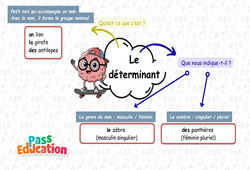 Carte mentale Les déterminants - Carte mentale co - construire : 2eme Primaire - PDF à imprimer