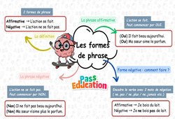 Carte mentale Les formes de phrase - Carte mentale à co - construire : 2eme Primaire - PDF à imprimer