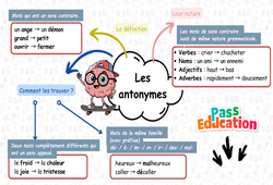 Carte mentale Les antonymes - Carte mentale à co - construire de vocabulaire : 3eme Primaire - PDF à imprimer