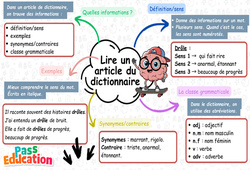 Carte mentale Lire un article dictionnaire - Carte mentale à co - construire : 2eme Primaire - PDF à imprimer